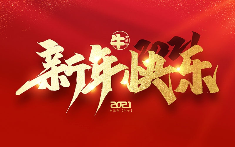 麗水市第二建筑工程有限公司祝全國人民2021年新年快樂(lè )??！